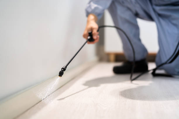 Licensed Fumigation Services service in San Augustine, TX - Nex Pest Control