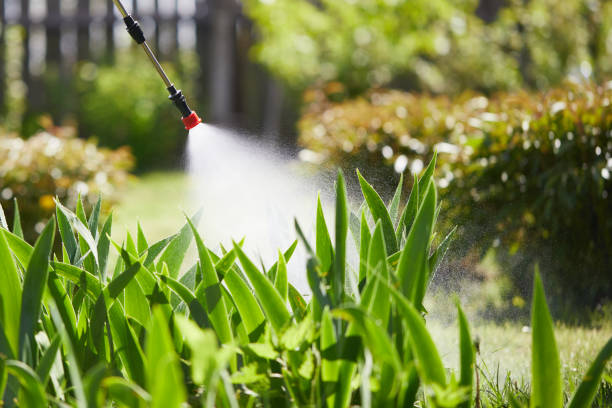 24/7 Emergency Fumigation Services experts in San Augustine, TX