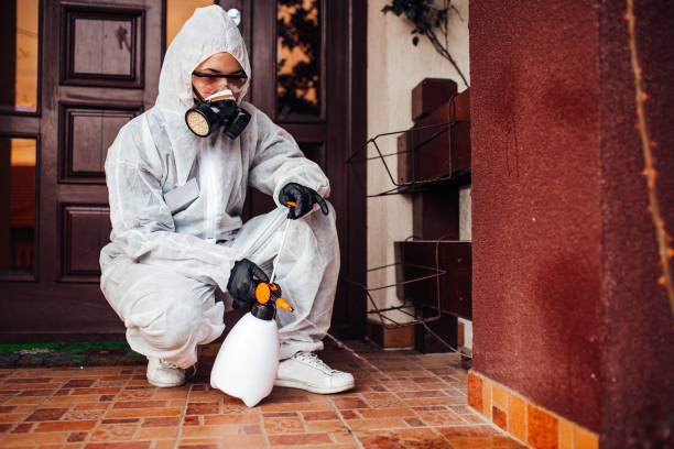 Reliable Fumigation Services contractor in San Augustine, TX by Nex Pest Control