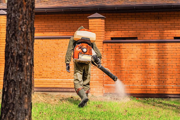 Top rated local Fumigation Services specialists in San Augustine, TX